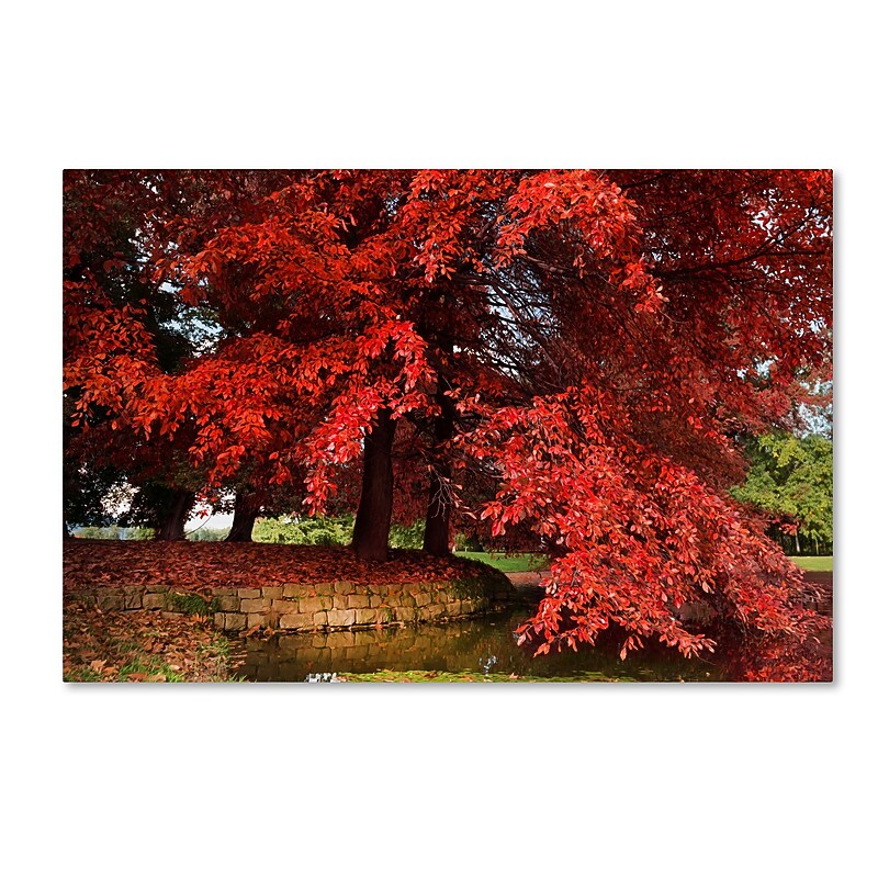 Trademark Fine Art ''October'' by Philippe Sainte-Laudy 16" x 24" Canvas Art (PSL0441-C1624GG) image 1