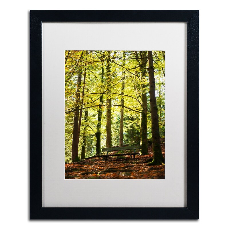 Trademark Fine Art ''Pause'' by Philippe Sainte-Laudy 16" x 20" White Matted Black Frame (PSL0442-B1620MF) image 1