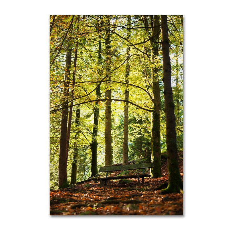 Trademark Fine Art ''Pause'' by Philippe Sainte-Laudy 16" x 24" Canvas Art (PSL0442-C1624GG) image 1