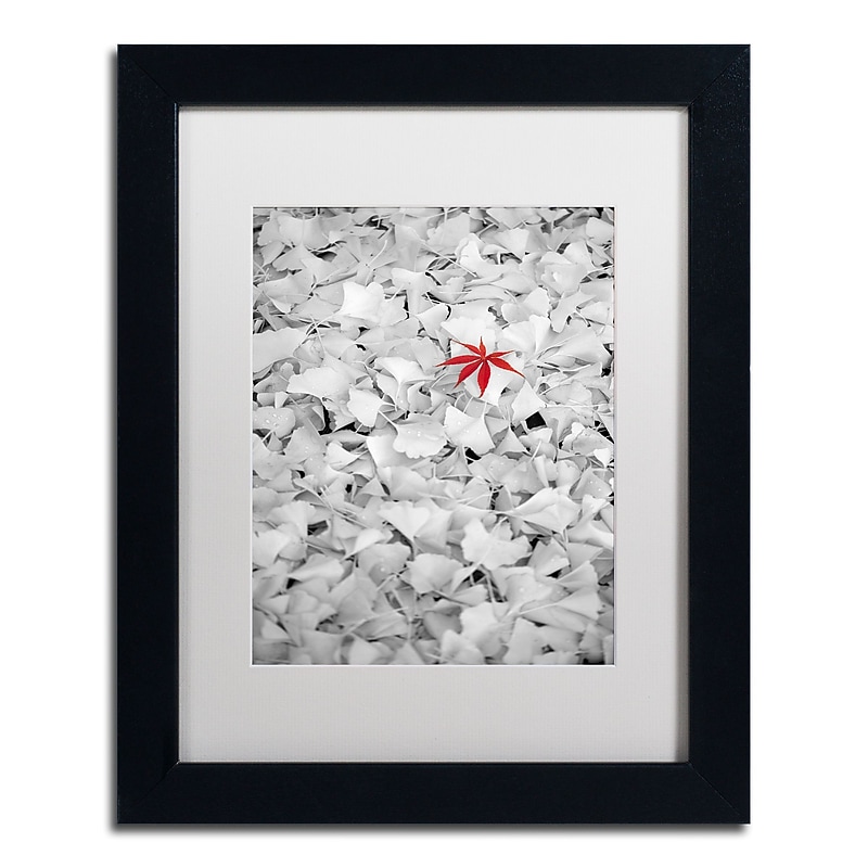 Trademark Fine Art ''Rebel Leaf'' by Philippe Sainte-Laudy 11" x 14" White Matted Black Frame (PSL0443-B1114MF) image 1
