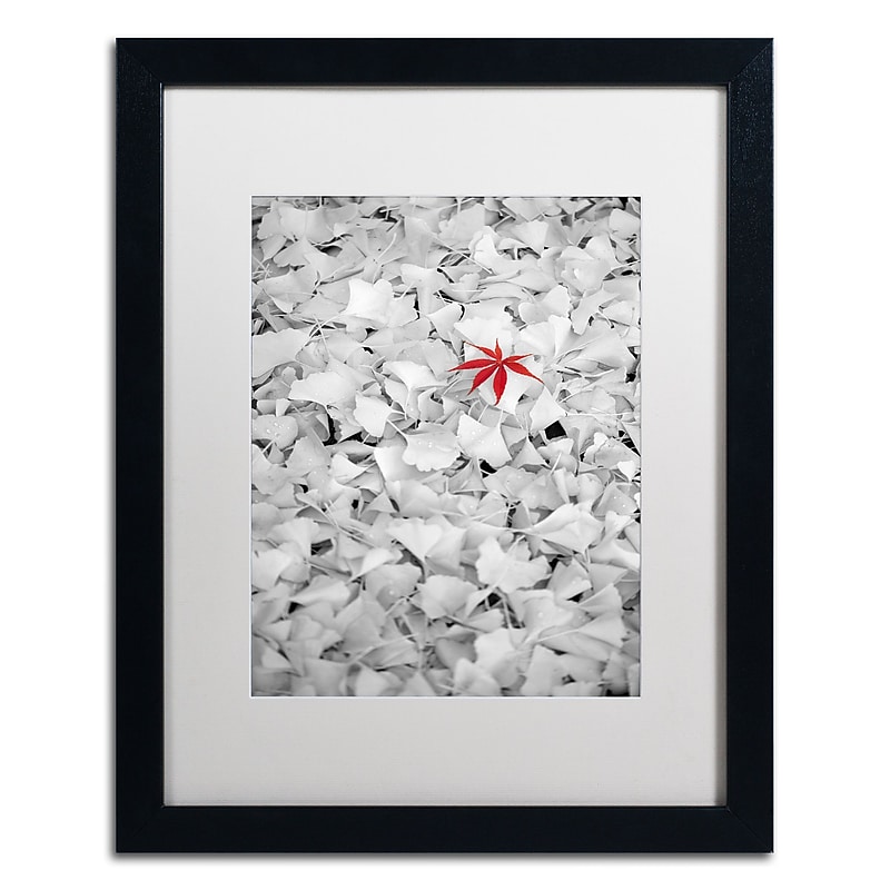 Trademark Fine Art ''Rebel Leaf'' by Philippe Sainte-Laudy 16" x 20" White Matted Black Frame (PSL0443-B1620MF) image 1