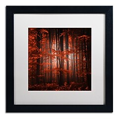 Trademark Fine Art ''Red Parallel Universe'' by Philippe Sainte