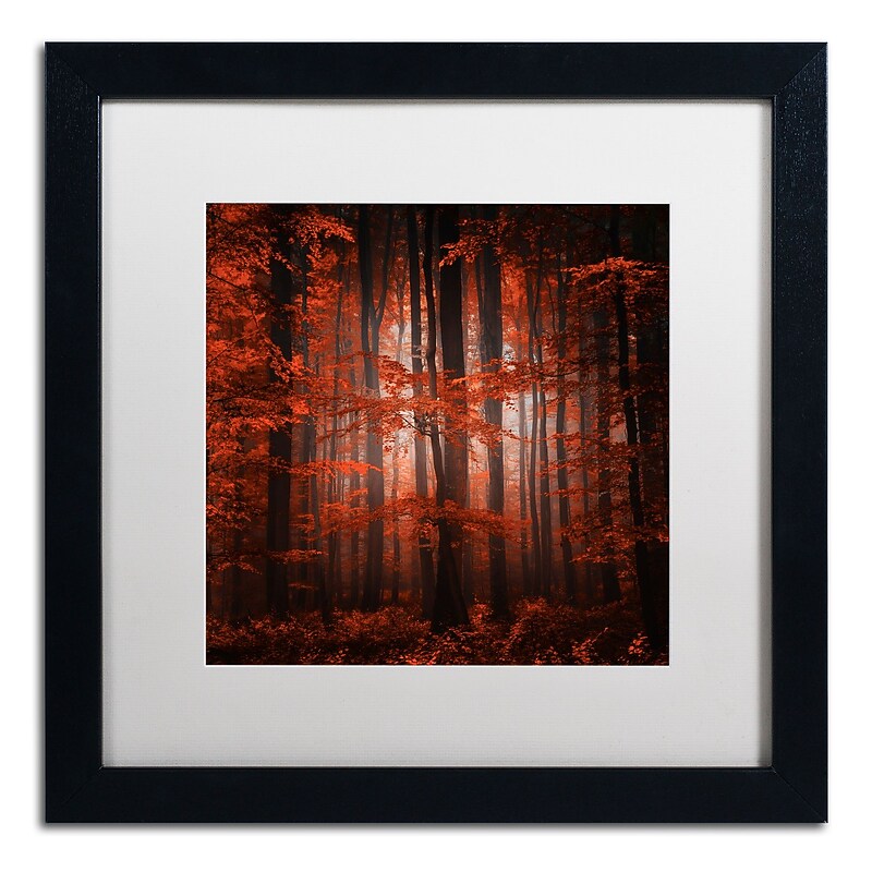 Trademark Fine Art ''Red Parallel Universe'' by Philippe Sainte-Laudy 16" x 16" White Matted Black Frame (PSL0444-B1616MF) image 1
