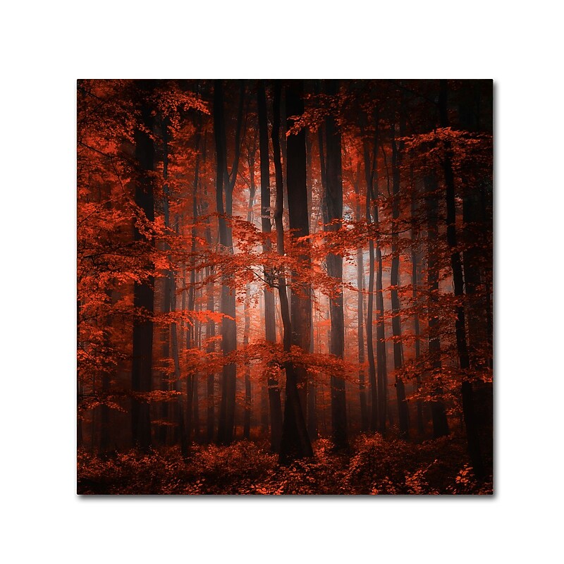 Trademark Fine Art ''Red Parallel Universe'' by Philippe Sainte-Laudy 35" x 35" Canvas Art (PSL0444-C3535GG) image 1