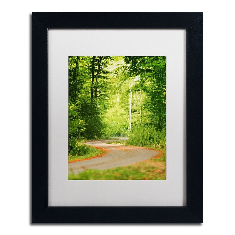 Trademark Fine Art ''S Road'' by Philippe Sainte-Laudy 11" x 14" White Matted Black Frame (PSL0447-B1114MF) image 1