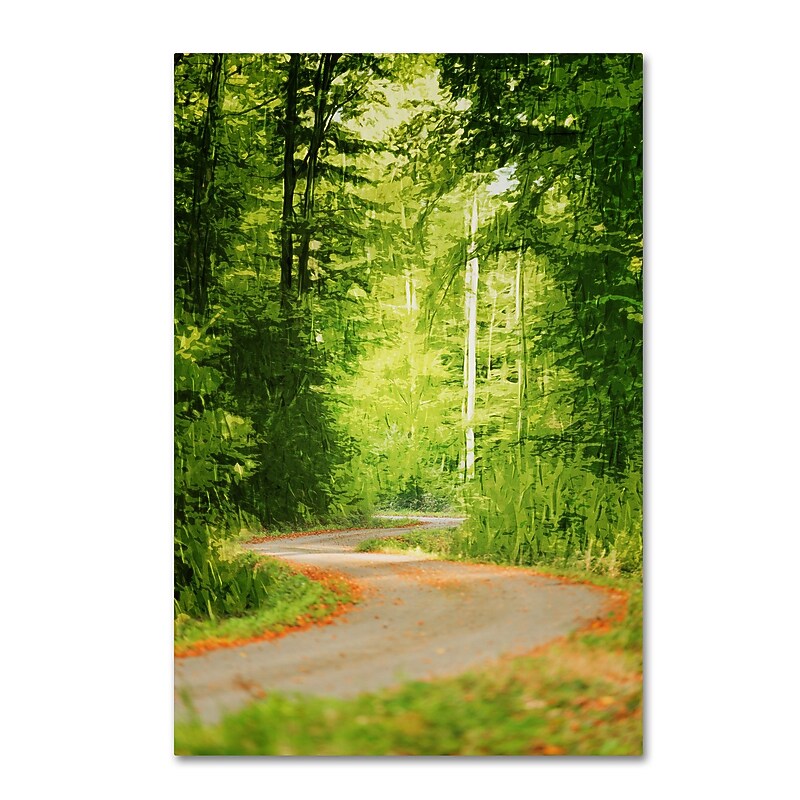 Trademark Fine Art ''S Road'' by Philippe Sainte-Laudy 22" x 32" Canvas Art (PSL0447-C2232GG) image 1