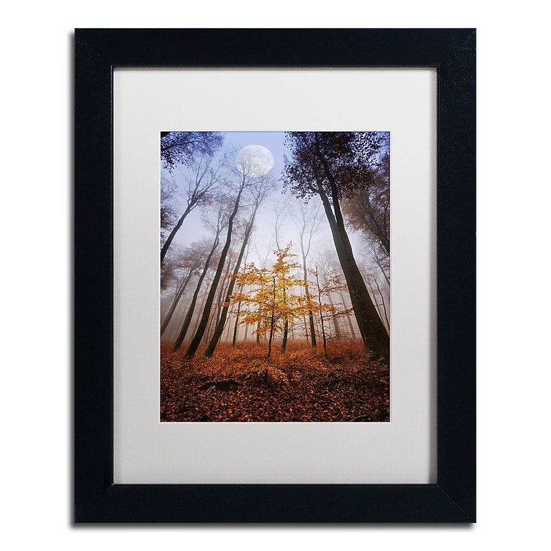 Trademark Fine Art ''Sentinel'' by Philippe Sainte-Laudy 11" x 14" White Matted Black Frame (PSL0449-B1114MF) image 1