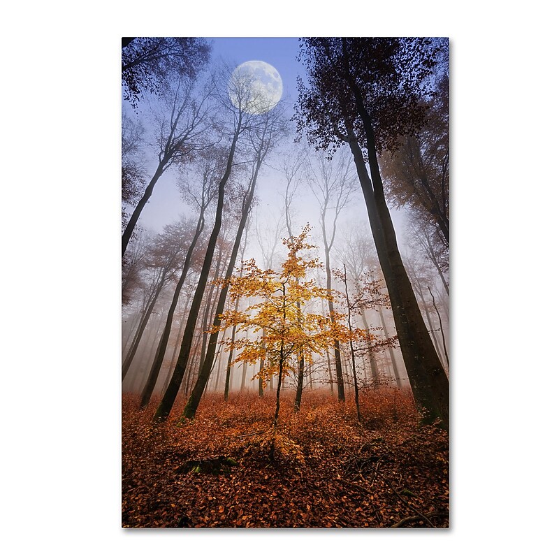 Trademark Fine Art ''Sentinel'' by Philippe Sainte-Laudy 16" x 24" Canvas Art (PSL0449-C1624GG) image 1