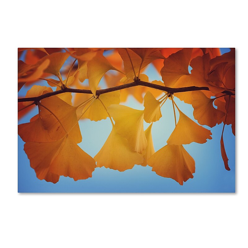 Trademark Fine Art ''Spiritual Food'' by Philippe Sainte-Laudy 16" x 24" Canvas Art (PSL0450-C1624GG) image 1