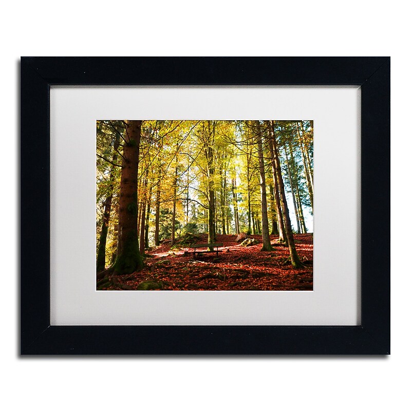 Trademark Fine Art ''The Autumn Bench'' by Philippe Sainte-Laudy 11" x 14" White Matted Black Frame (PSL0451-B1114MF) image 1