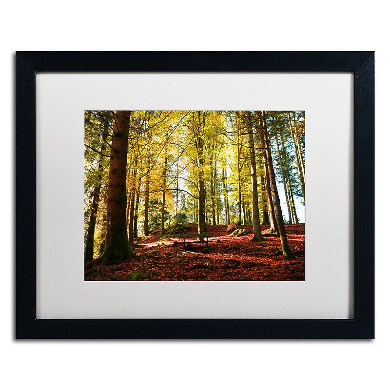 Trademark Fine Art ''The Autumn Bench'' by Philippe Sainte-Laudy 16" x 20" White Matted Black Frame (PSL0451-B1620MF) image 1