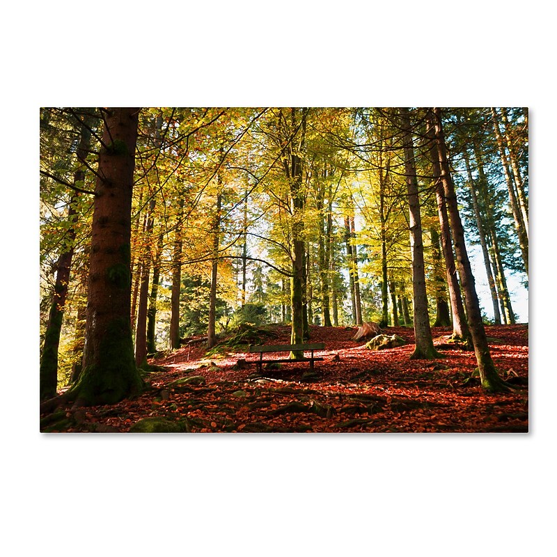 Trademark Fine Art ''The Autumn Bench'' by Philippe Sainte-Laudy 22" x 32" Canvas Art (PSL0451-C2232GG) image 1