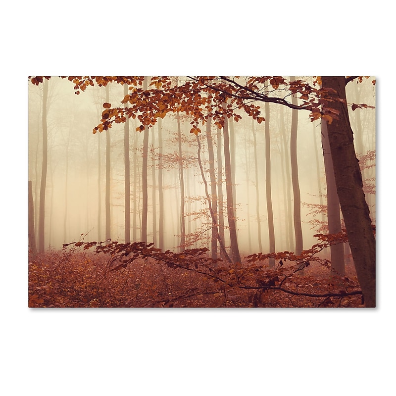 Trademark Fine Art ''The Last of Fall'' by Philippe Sainte-Laudy 30" x 47" Canvas Art (PSL0453-C3047GG) image 1