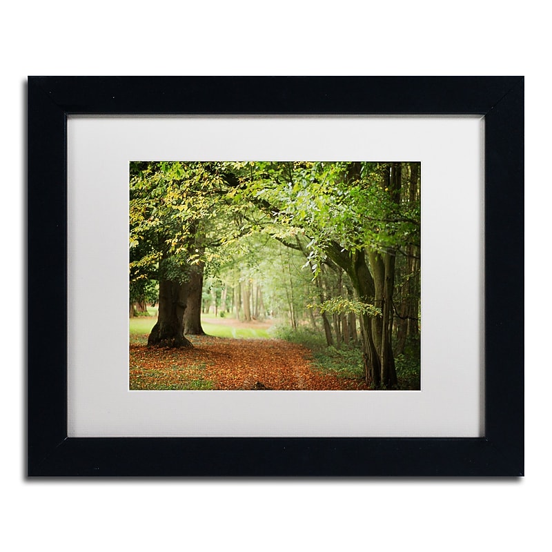 Trademark Fine Art ''Through the Woods'' by Philippe Sainte-Laudy 11" x 14" White Matted Black Frame (PSL0456-B1114MF) image 1
