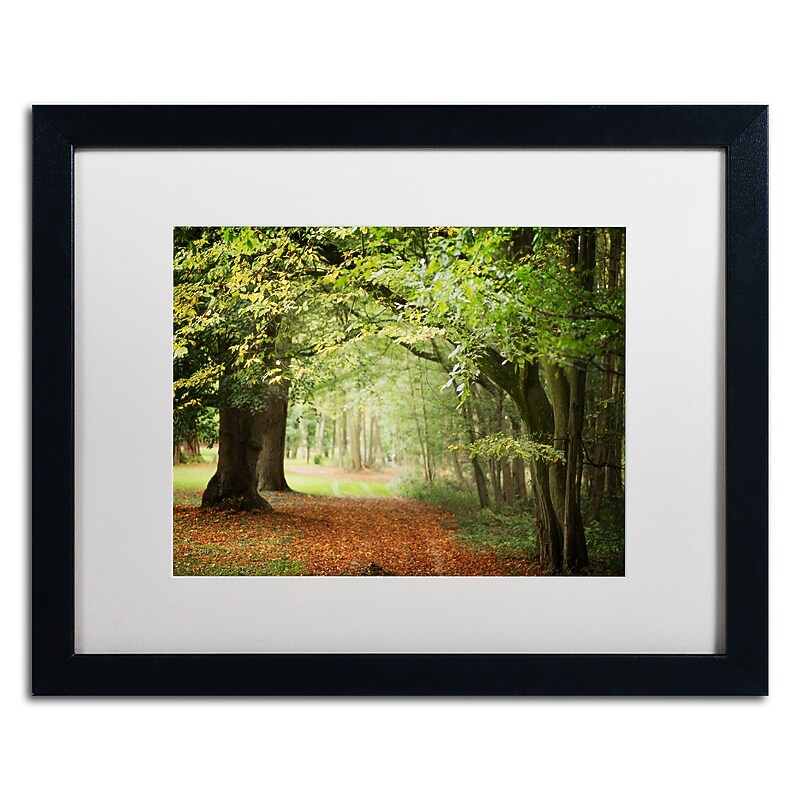 Trademark Fine Art ''Through the Woods'' by Philippe Sainte-Laudy 16" x 20" White Matted Black Frame (PSL0456-B1620MF) image 1