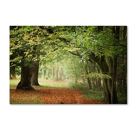 rooo lou キャンバス Trademark Fine Art ''Through the Woods'' by Philippe Sainte