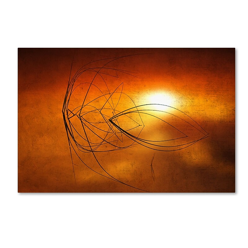 Trademark Fine Art ''Touch of Last Light'' by Philippe Sainte-Laudy 30" x 47" Canvas Art (PSL0457-C3047GG) image 1