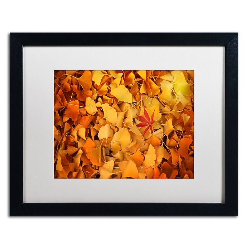 Trademark Fine Art ''Variegated'' by Philippe Sainte-Laudy 16" x 20" White Matted Black Frame (PSL0459-B1620MF) image 1