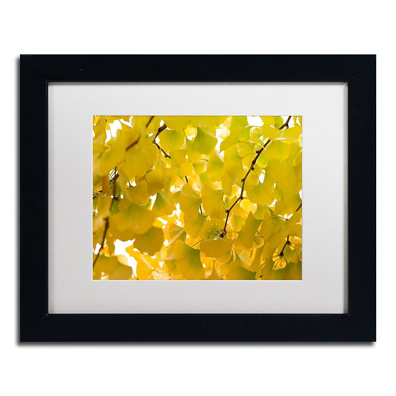 Trademark Fine Art ''Yellow Autumn'' by Philippe Sainte-Laudy 11" x 14" White Matted Black Frame (PSL0460-B1114MF) image 1
