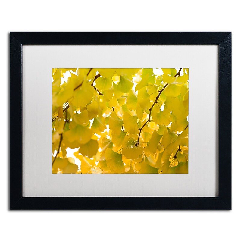 Trademark Fine Art ''Yellow Autumn'' by Philippe Sainte-Laudy 16" x 20" White Matted Black Frame (PSL0460-B1620MF) image 1
