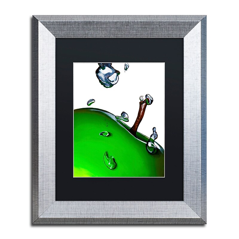 Trademark Fine Art ''Granny Splash II'' by Roderick Stevens 11" x 14" Black Matted Silver Frame (RS020-S1114BMF) image 1