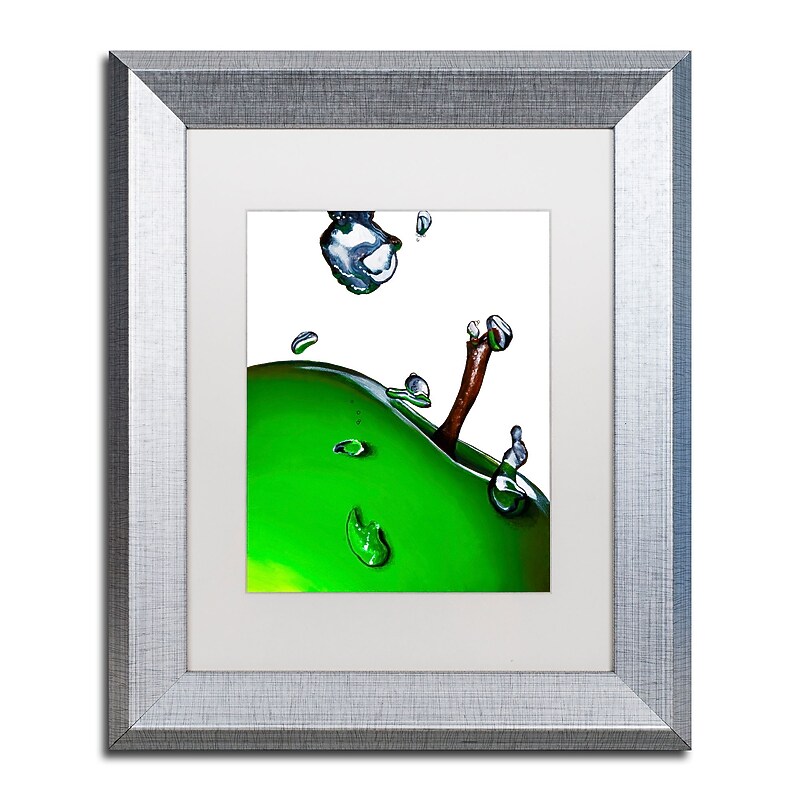 Trademark Fine Art ''Granny Splash II'' by Roderick Stevens 11" x 14" White Matted Silver Frame (RS020-S1114MF) image 1