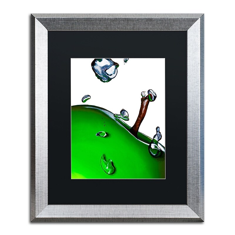 Trademark Fine Art ''Granny Splash II'' by Roderick Stevens 16" x 20" Black Matted Silver Frame (RS020-S1620BMF) image 1