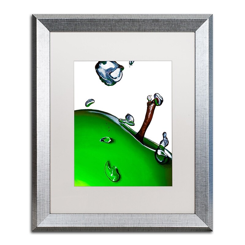 Trademark Fine Art ''Granny Splash II'' by Roderick Stevens 16" x 20" White Matted Silver Frame (RS020-S1620MF) image 1