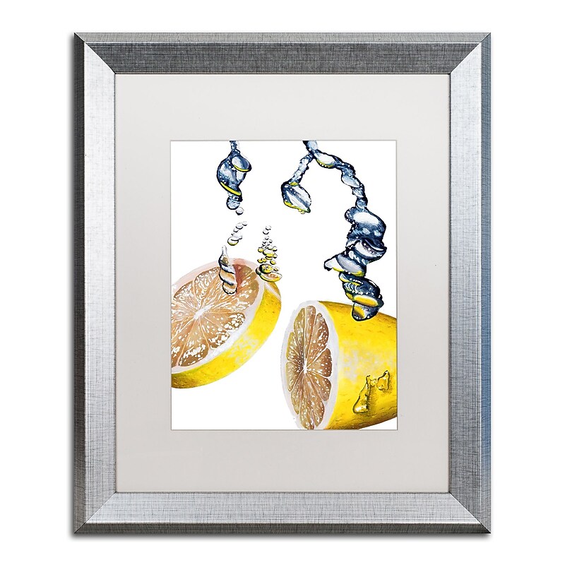 Trademark Fine Art ''Lemon Splash II'' by Roderick Stevens 16" x 20" White Matted Silver Frame (RS022-S1620MF) image 1