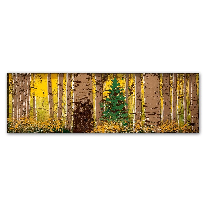 Trademark Fine Art ''PanorAspen Lone Pine'' by Roderick Stevens 10" x 32" Canvas Art (RS1017-C1032GG) image 1
