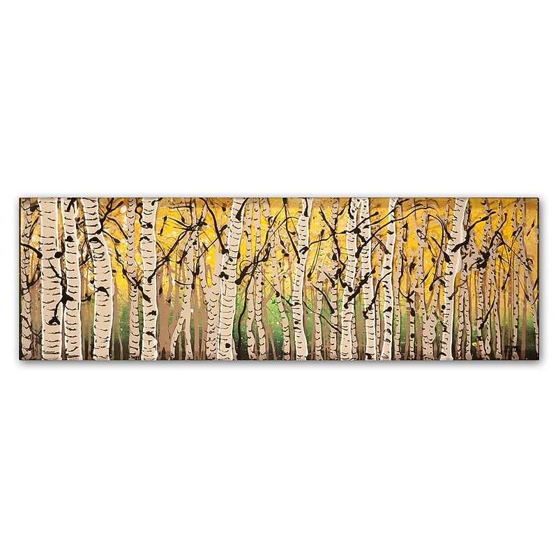Trademark Fine Art ''PanorAspens Fall Begins'' by Roderick Stevens 6" x 19" Canvas Art (RS1018-C619GG) image 1