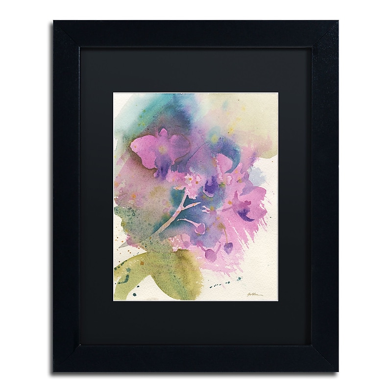 Trademark Fine Art ''Orchid Dream'' by Sheila Golden 11" x 14" Black Matted Black Frame (SG5738-B1114BMF) image 1