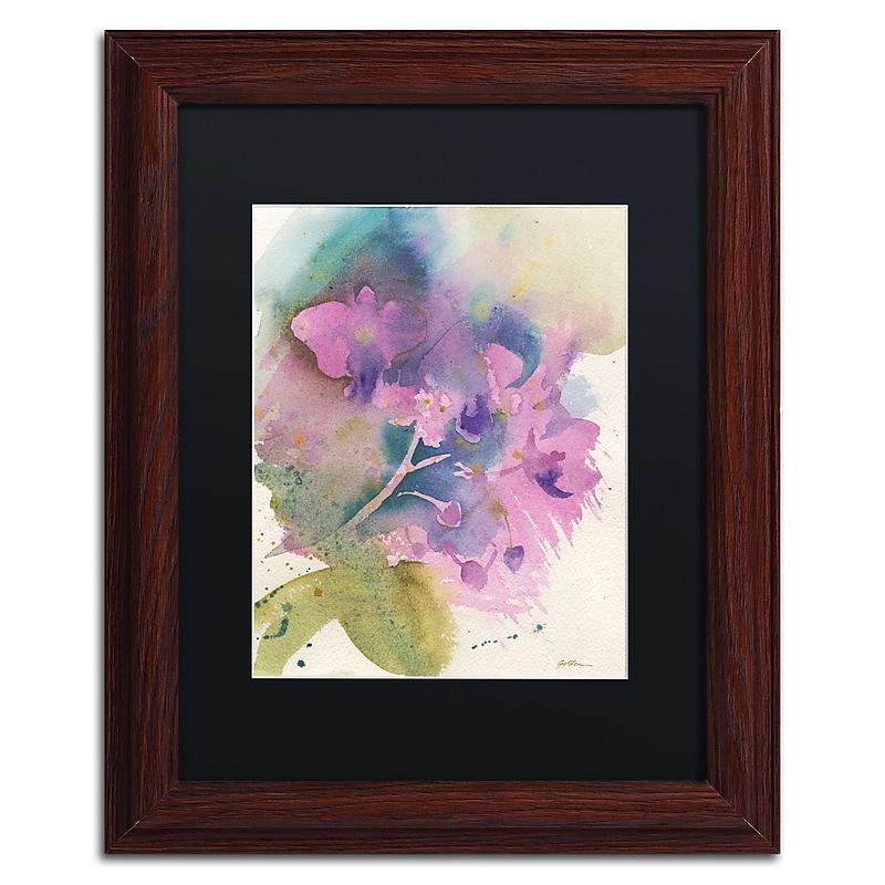 Trademark Fine Art ''Orchid Dream'' by Sheila Golden 11" x 14" Black Matted Wood Frame (SG5738-W1114BMF) image 1