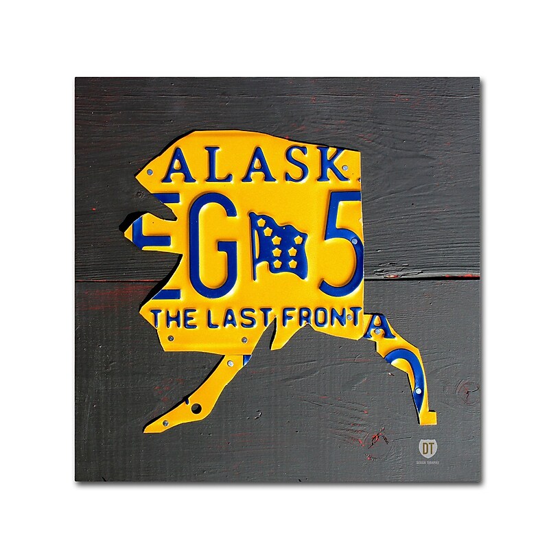 Trademark Fine Art ''Alaska'' by Design Turnpike 24" x 24" Canvas Art (ALI1275-C2424GG) image 1