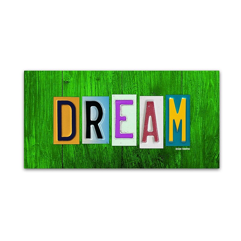 Trademark Fine Art ''Dream'' by Design Turnpike 12" x 24" Canvas Art (ALI1307-C1224GG) image 1