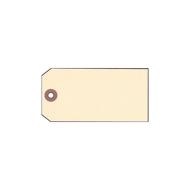 Nahanco 3 1/4" x 1 5/8" Strung All Purpose Tag, Manila, 1000/Pack image 1