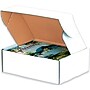 24" x 14" x 4" Staples Deluxe Literature Mailer, 25/Bundle~#|#~m003578387_sc7
