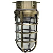 Woods L1706AB Traditional 100W Incandescent Weather Industrial Light, Ceiling Mount, Antique Brass