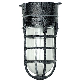 Woods L1706BLK Traditional 100W Incandescent Weather Industrial Light, Ceiling Mount, Hammered Black