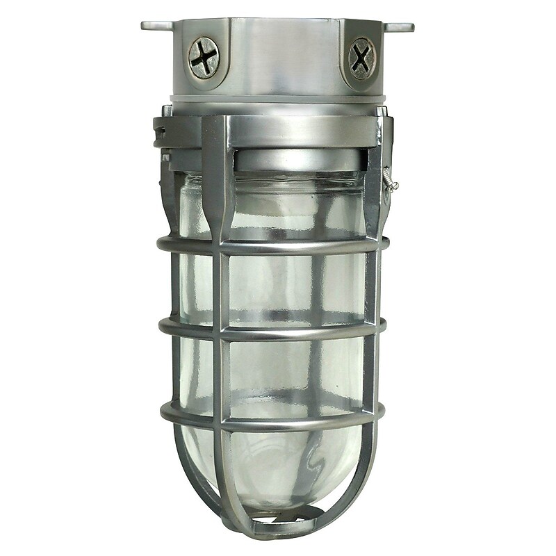 Woods L1706BS Traditional 100W Incandescent Weather Industrial Light, Ceiling Mount, Brushed Steel image 1