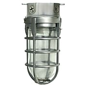 Woods L1706BS Traditional 100W Incandescent Weather Industrial Light, Ceiling Mount, Brushed Steel