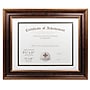 Lawrence Frames Dual Use Beaded Document Frame, Bronze (188111)~#|#~m003809097_sc7