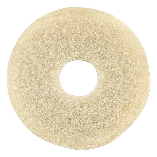 Shop Staples For Oreck Commercial Orbiter Stone Care Brush 12