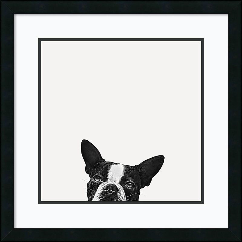 Amanti Art Jon Bertelli 'Loyalty' Art Print 22 x 22 in. Satin Black Wood Frame (DSW1385034) image 1