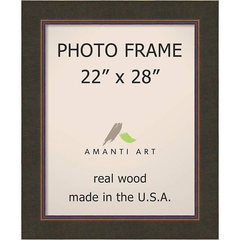 Milano Bronze Photo Frame 29 x 35-inch (DSW1385325) image 1