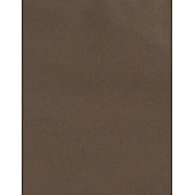 LUX 100 lb. Cardstock Paper, 11" x 17", Chocolate, 500 Sheets/Pack (1117-C-17-500)