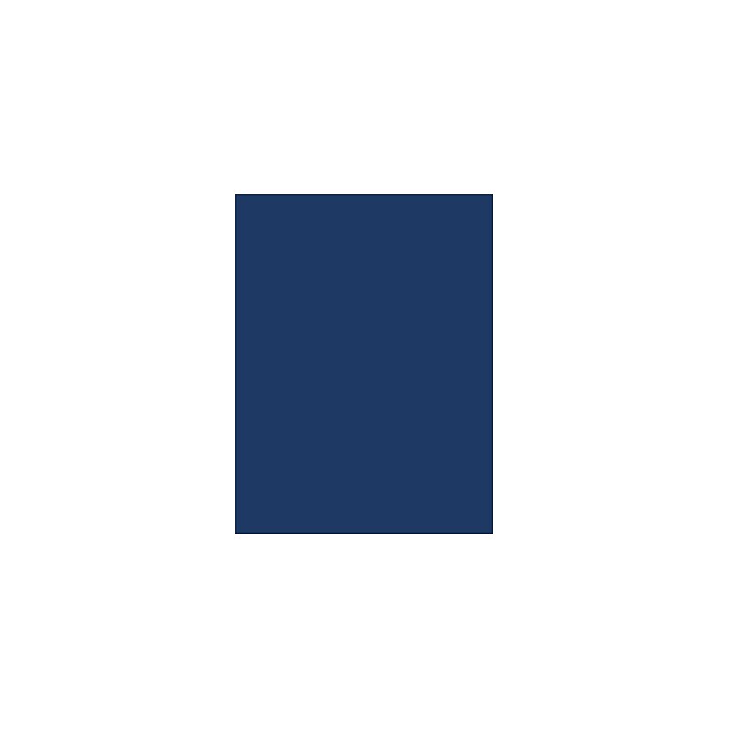 LUX 100 lb. Cardstock Paper, 11" x 17", Navy, 1000 Sheets/Pack (1117-C-103-1M) image 1