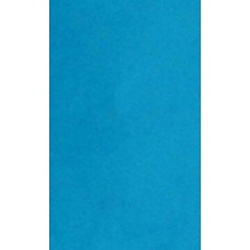 Blue Pastel Legal Size Paper, Staples Brand, 8.5” x 14”, Ream Of
