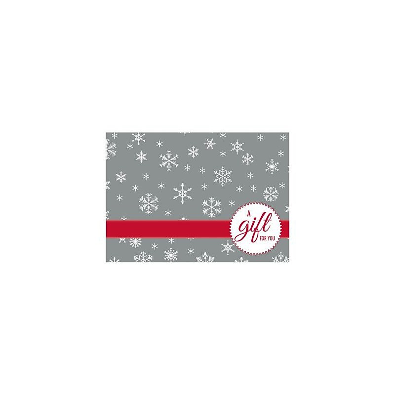 LUX #17 Mini Gift Card Envelopes, 2 11/16" x 3 11/16", Silver Snowflake, 1000 Qty (LEVC-H02-1M) image 1