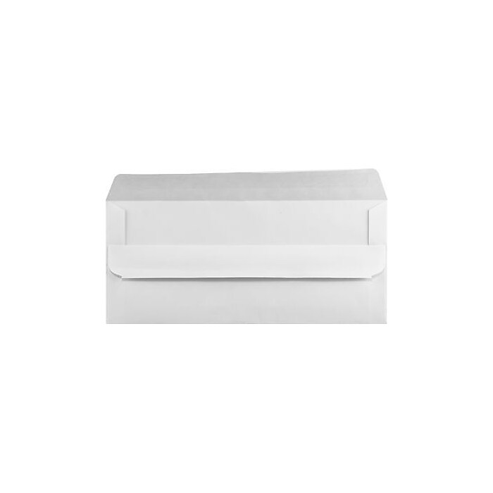 10 Left Window Self Seal Envelopes - 80/pack - 4 1/8 X 9 1/2 Inch